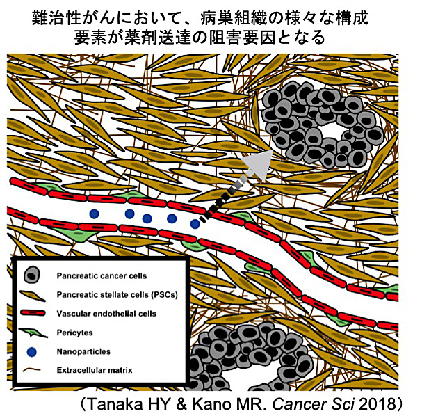 なぜ難治の病気は治りにくいのか?