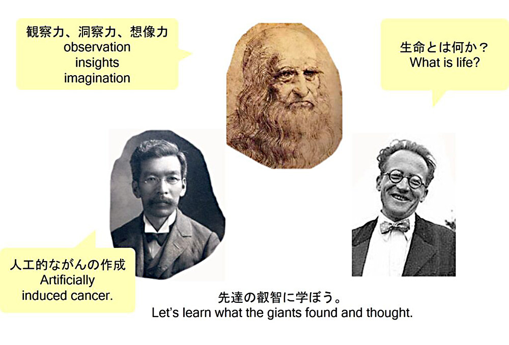 ナノバイオシステム分子設計学分野